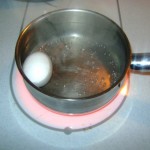 egg